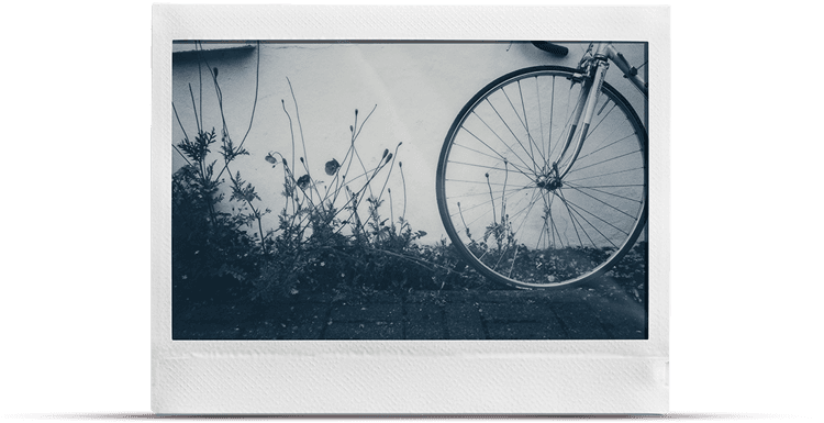 MONOCHROME